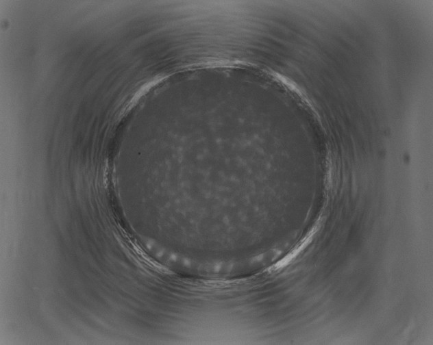 X0000065991161200603031148