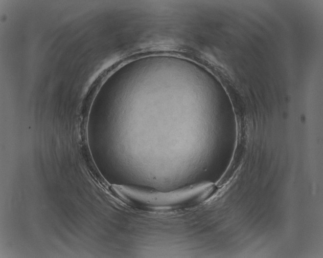 X0000065991166200603031148