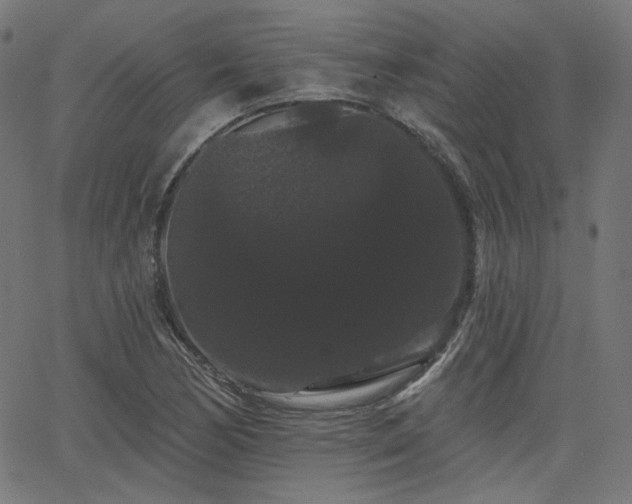 X0000065991170200603031148