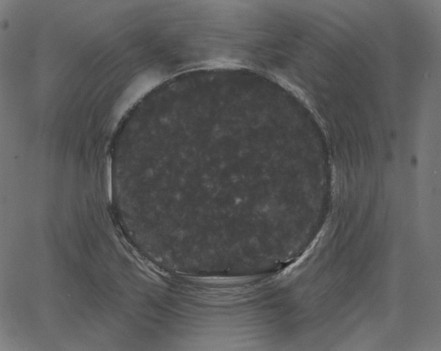 X0000065991171200603031148