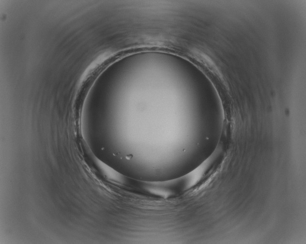 X0000065991172200603031148