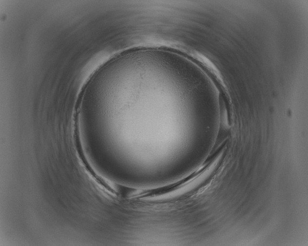 X0000065991183200603031147