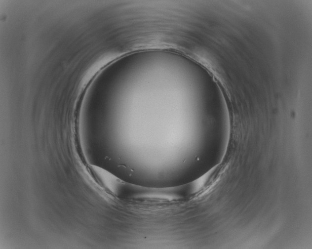 X0000065991187200603031147