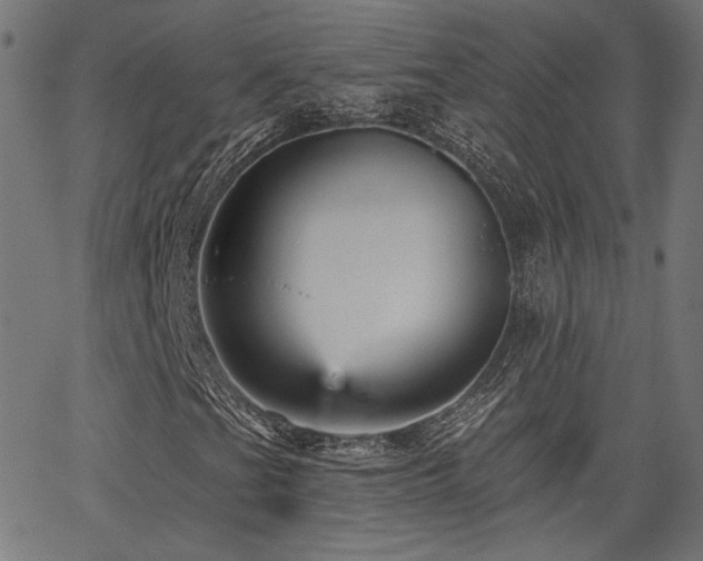 X0000065991201200603031146