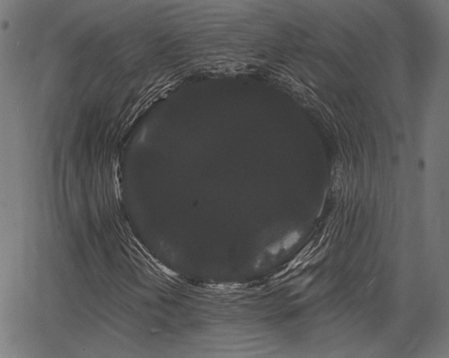 X0000065991202200603031146