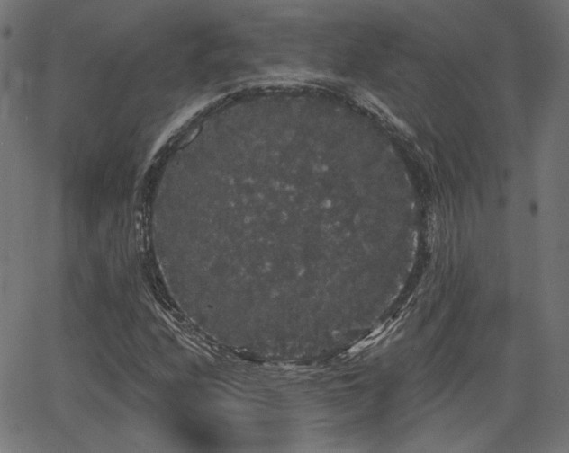 X0000065991208200603031146