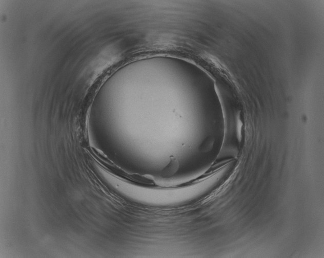 X0000065991210200603031147