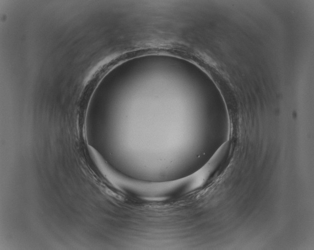 X0000065991214200603031147