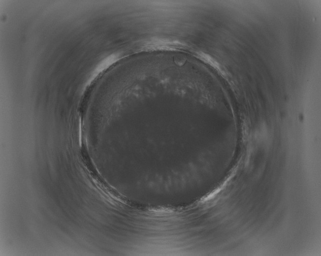 X0000065991219200603031147