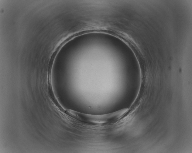 X0000065991220200603031147