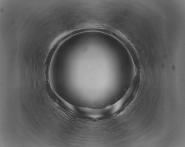 X0000065991222200603031147