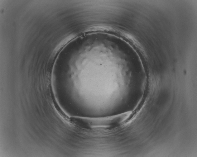 X0000065991233200603031147