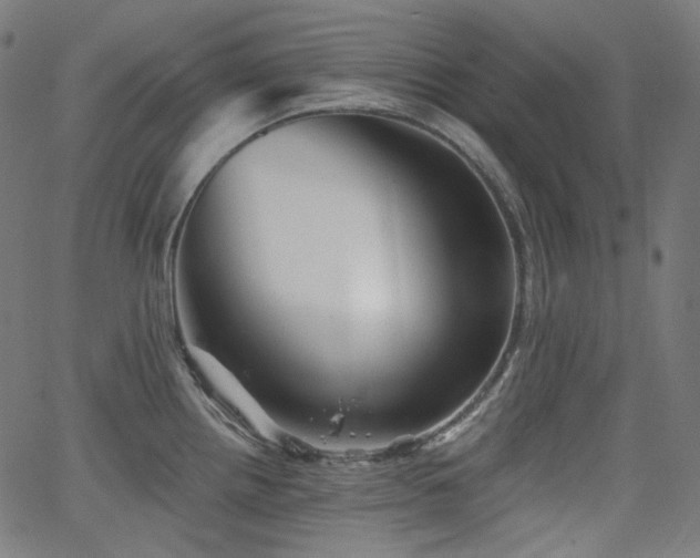 X0000065991242200603031147