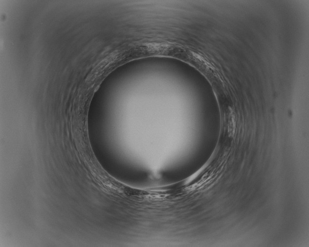 X0000065991249200603031146