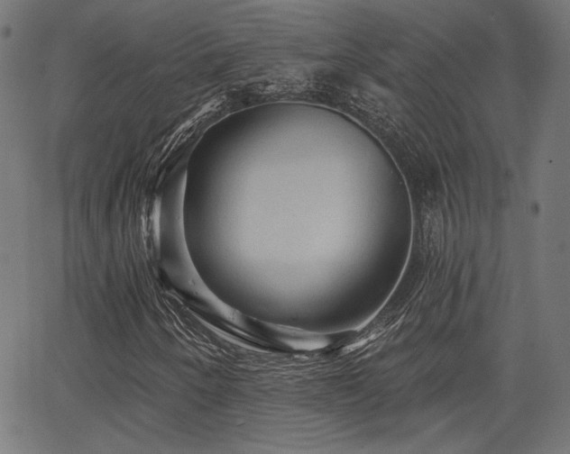 X0000065991250200603031146