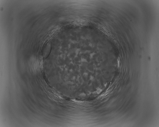 X0000065991251200603031146