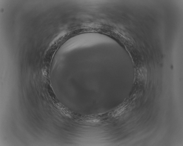 X0000065991254200603031146