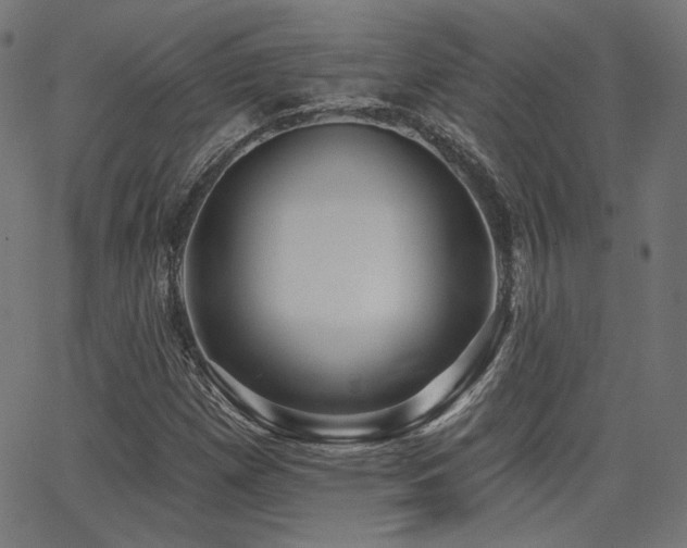 X0000065991257200603031146