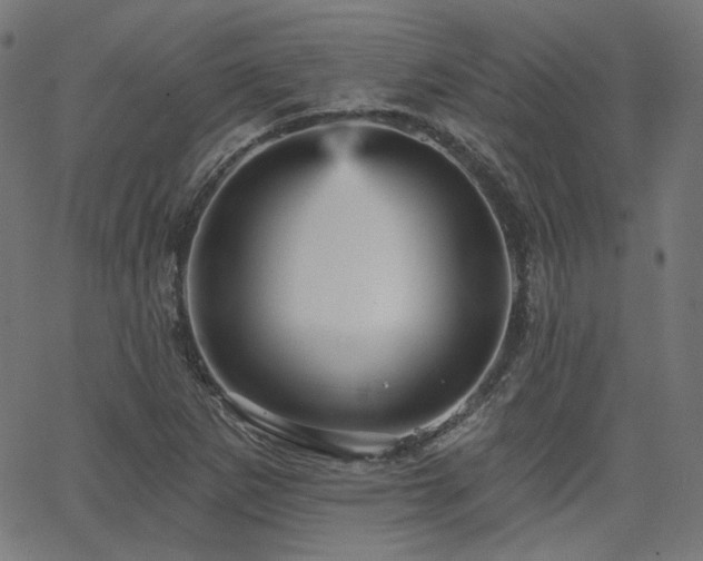 X0000065991265200603031146