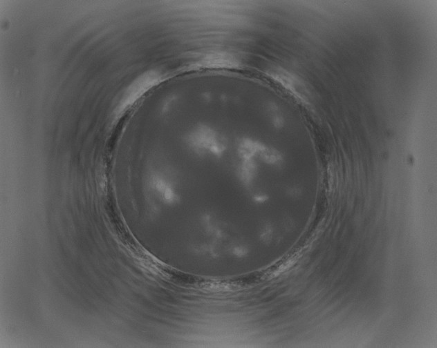 X0000065991266200603031146