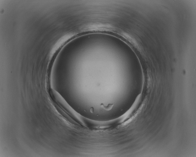 X0000065991277200603031146