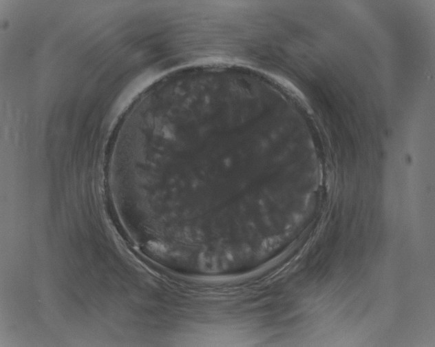 X0000065991279200603031146