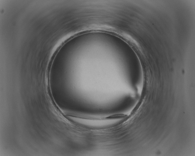 X0000065991280200603031146