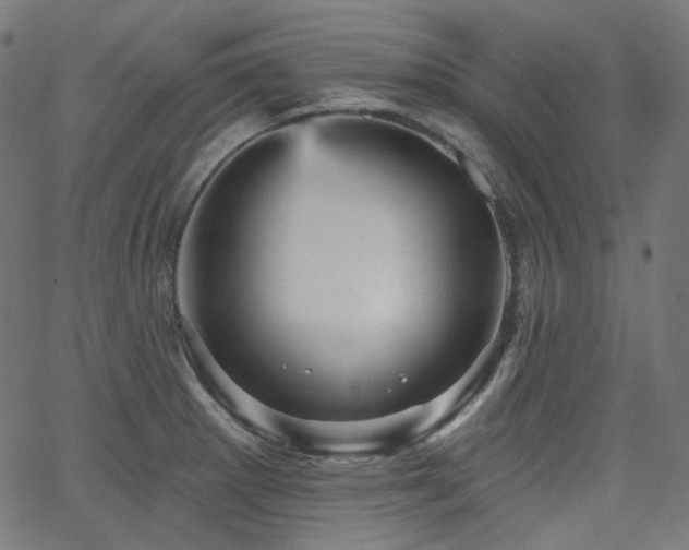 X0000065991281200603031146