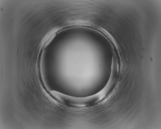 X0000065991293200603031146