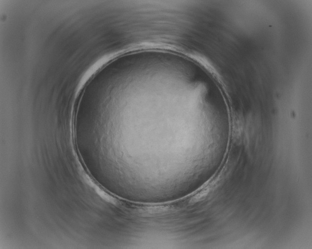 X0000065991294200603031146
