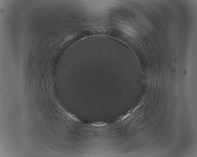 X0000065991297200603031145