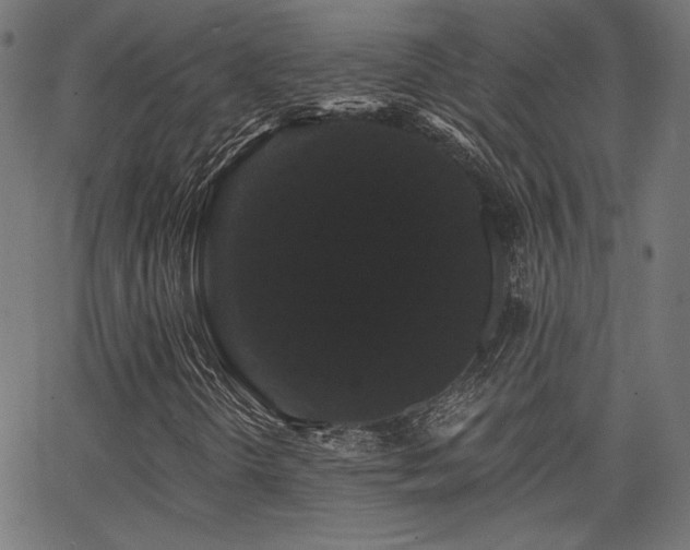 X0000065991298200603031145