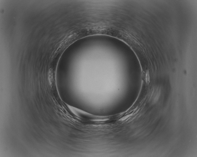 X0000065991299200603031145