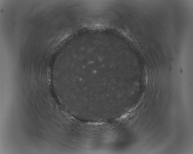 X0000065991301200603031145