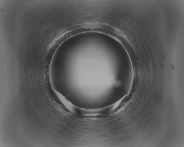 X0000065991304200603031145
