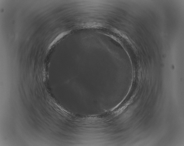 X0000065991306200603031145