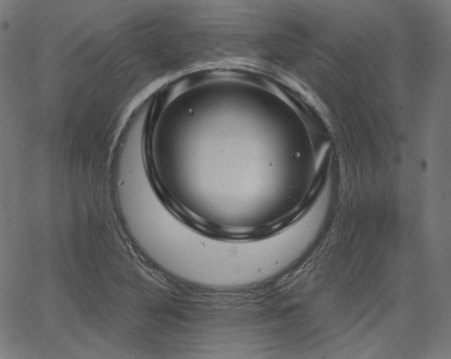 X0000065991316200603031145