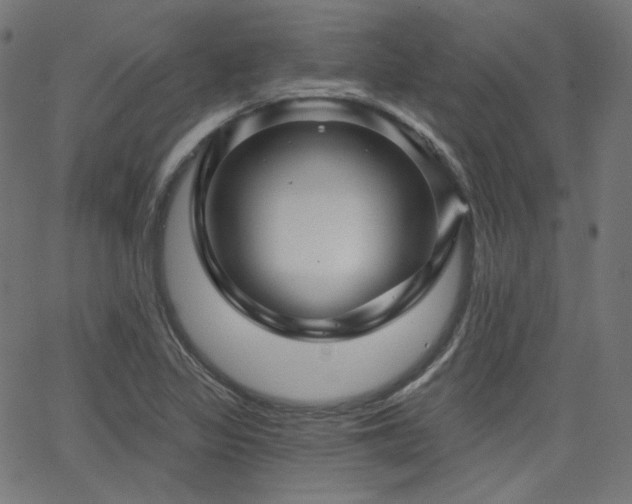 X0000065991317200603031145
