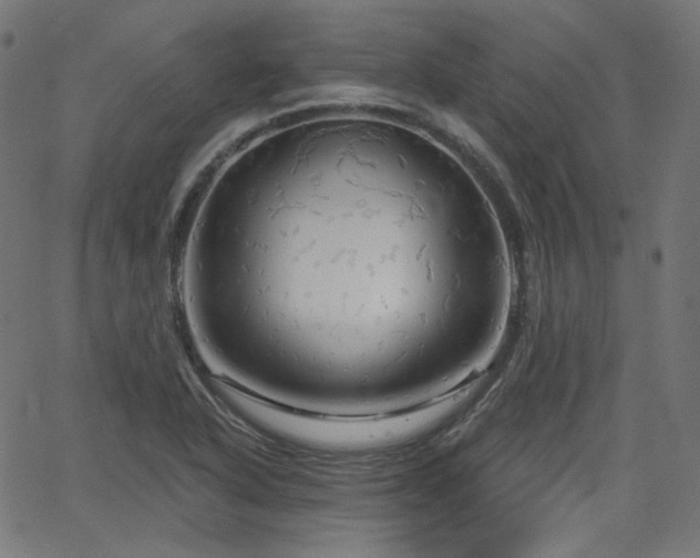 X0000065991318200603031145