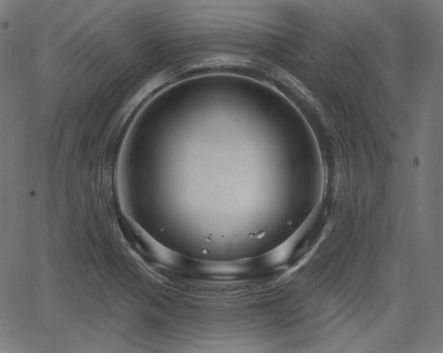 X0000065991321200603031145