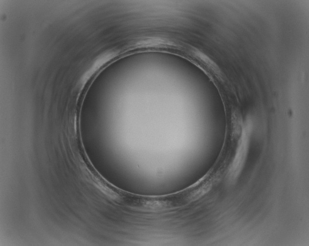 X0000065991322200603031145