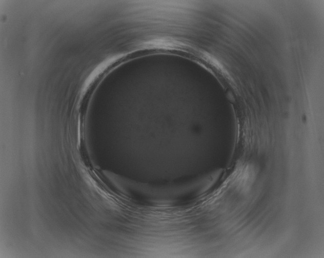X0000065991323200603031145
