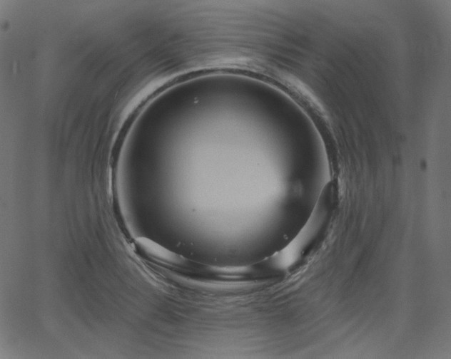 X0000065991324200603031145