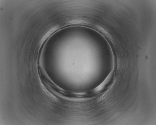 X0000065991330200603031145