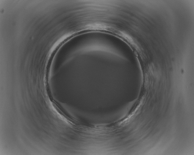 X0000065991331200603031145
