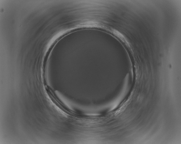 X0000065991334200603031145