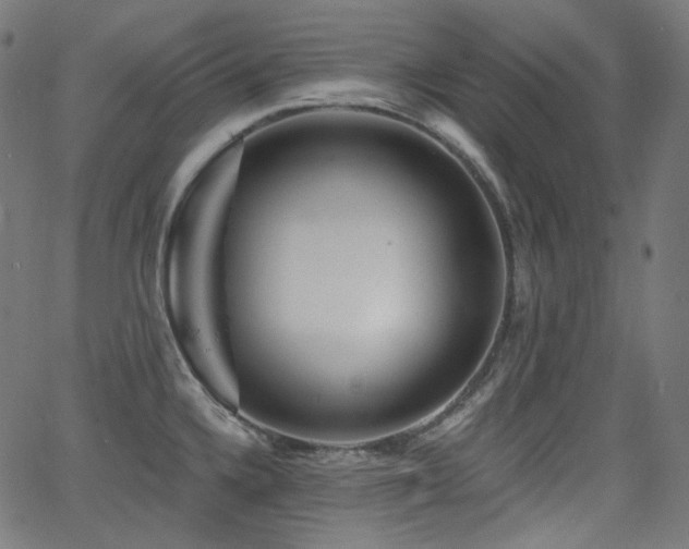 X0000065991336200603031145