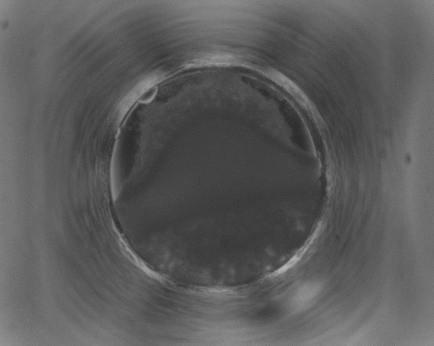 X0000065991337200603031145