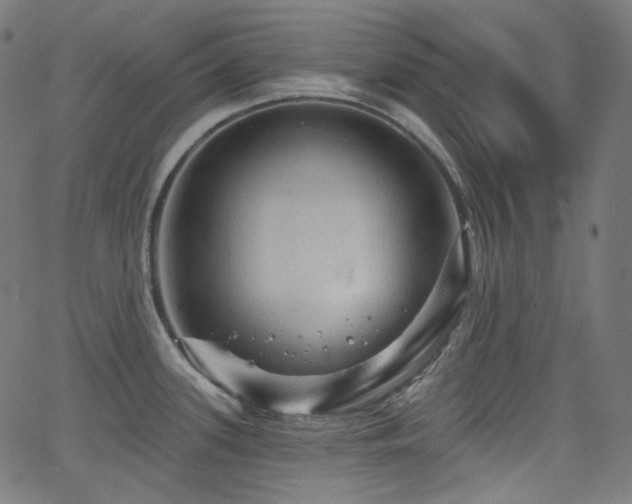 X0000065991339200603031146