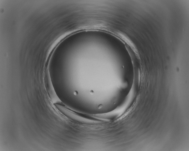 X0000065991340200603031146
